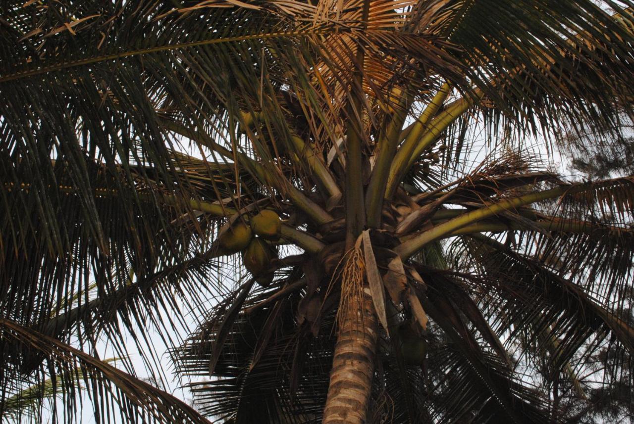 Rainbow Beach Resort Sanyang Eksteriør billede