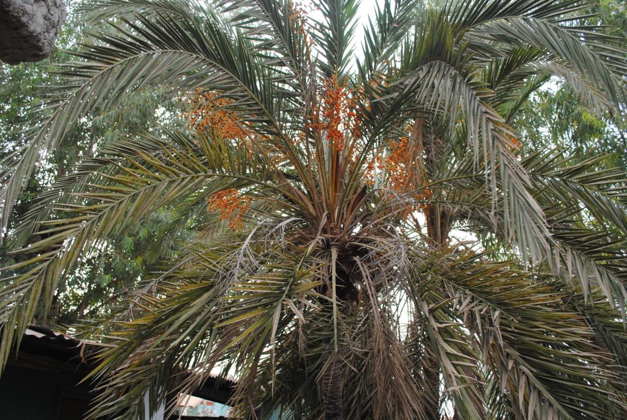Rainbow Beach Resort Sanyang Eksteriør billede